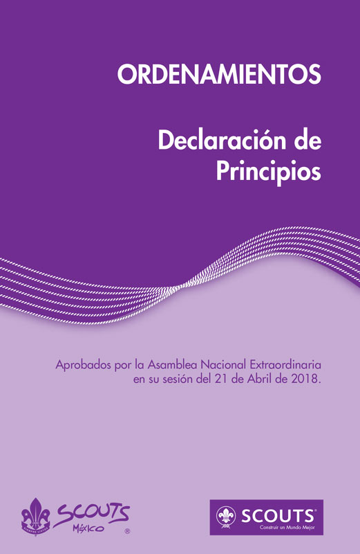 Declaración de Principios